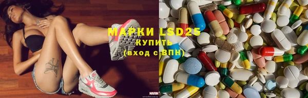 стаф Михайловск