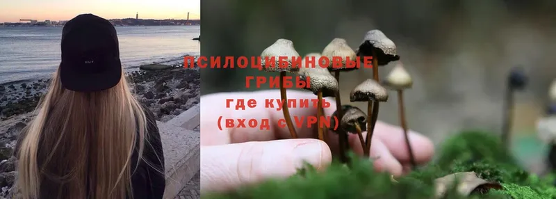 МЕГА рабочий сайт  хочу наркоту  Нижний Ломов  Псилоцибиновые грибы Psilocybe 